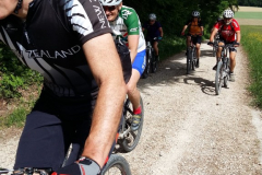 20150514_110556-576x1024