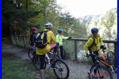 yf0nv3m7xmyfonxceuio3k9zg5yznc-org