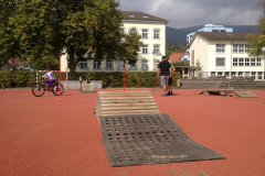 IMG_1785 (Large)