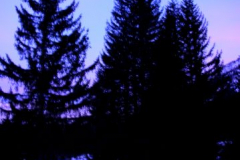 2006-12-Lager_Campra-029